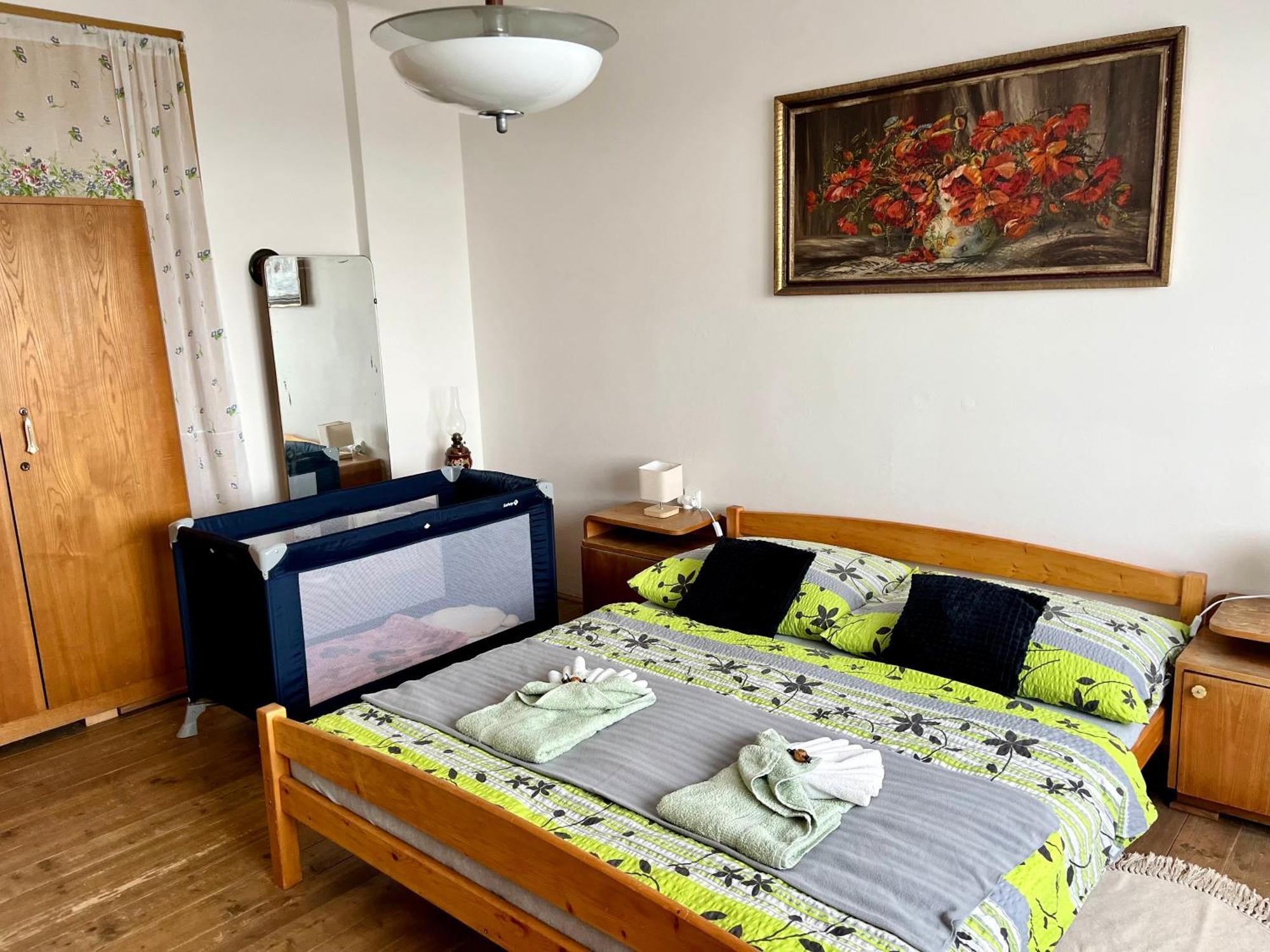 Slunny Byt S Krasnym Vyhledem Appartement Nové Město nad Metují Buitenkant foto
